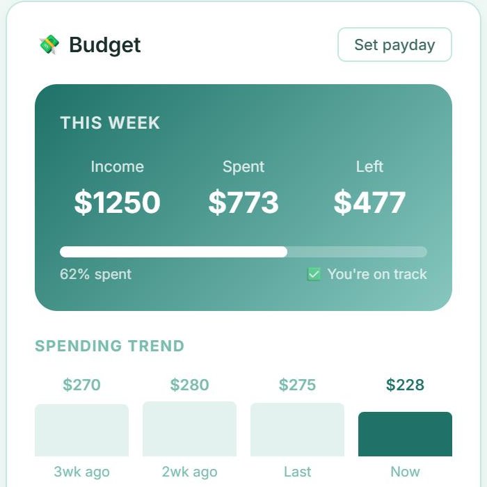 The weekly budget in the Siera Life app